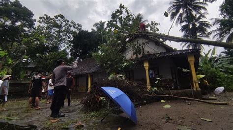 Hitungan Menit Angin Terjang Pemukiman Pohon Tumbang Timpa Rumah Warga