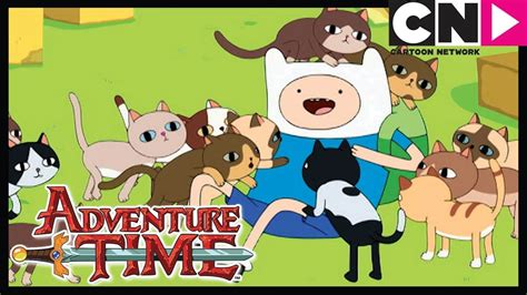 Adventure Time | The Box Prince | Cartoon Network - YouTube