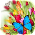 Download Butterflies Live Wallpaper