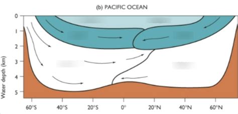 Pacific Ocean Currents Diagram Quizlet