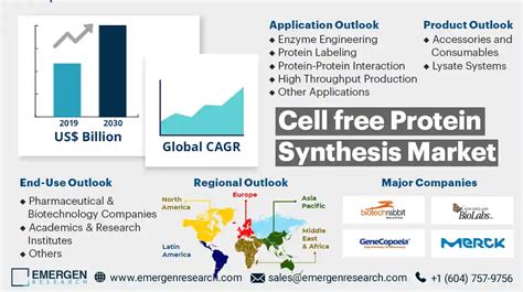 Cell Free Protein Synthesis CFPS Market Size Share Trend