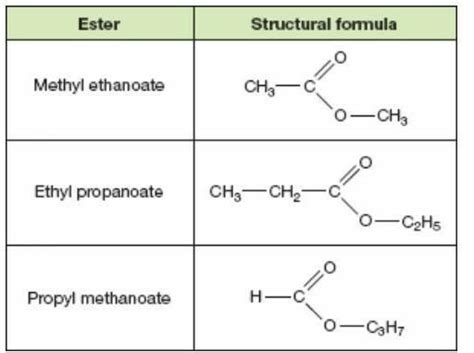 Ester Image Chemistry Brainly In