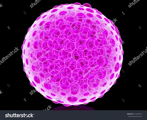 Bacterias Under Microscope Stock Illustration 121646416 | Shutterstock