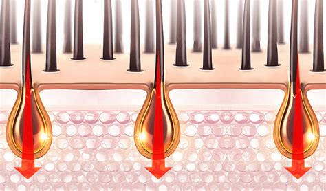 How Red Light Therapy Helps With Healthy Hair Growth R Scienlodicrlt