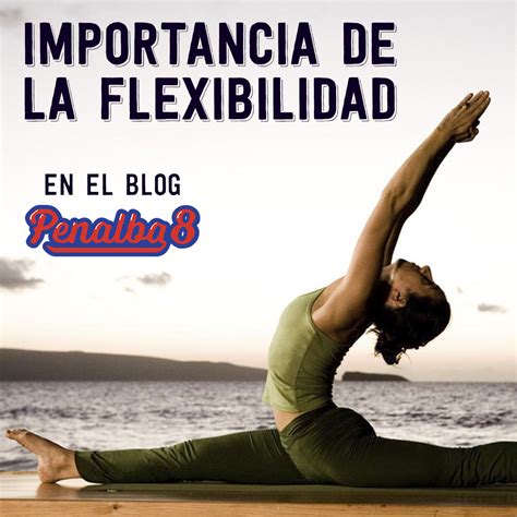 ¡importancia De La Flexibilidad Entrenadores Personales En Valencia Planes Entrenamiento