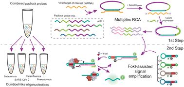 A Foki Driven Signal Amplification Platform For The Simultaneous