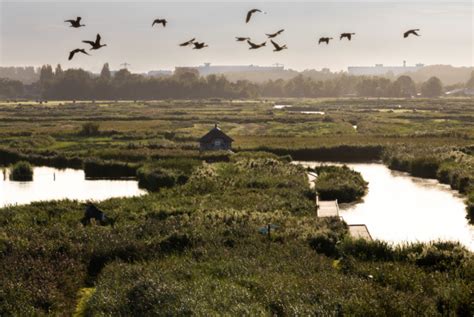 stichting Landschap Noord-Holland - Egeria