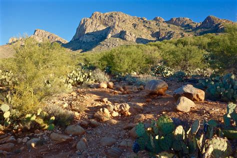 Earthline: The American West: Pusch Peak, 5,361', Pusch Ridge Wilderness