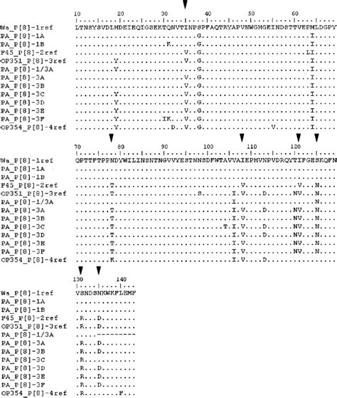 Comparison Of Conserved Amino Acids Between Residues 10 And 143 Of VP4