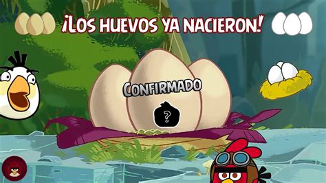 LOS HUEVOS DE ANGRY BIRDS YA NACIERON o algo así Loquendo 2021