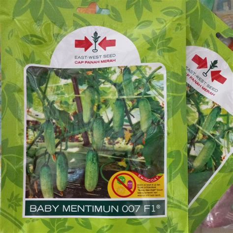 Jual Benih Timun Kecil Baby Mentimun F Butir Cap Panah Merah