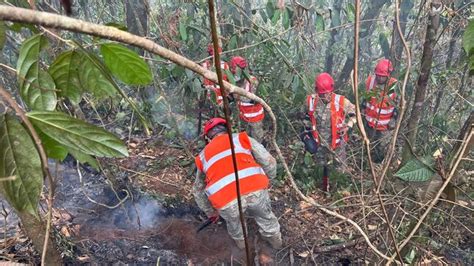 Indeci Coordina Acciones De Respuesta Ante Incendios Forestales En