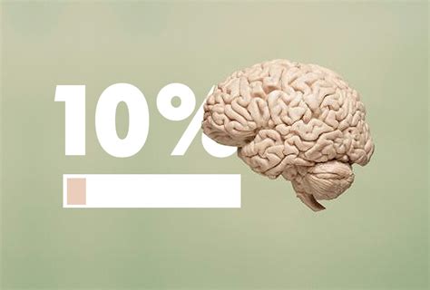 Lectures Bureau Do People Only Use 10 Percent Of Their Brains