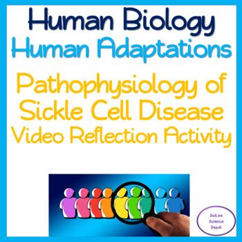 Pathophysiology Of Sickle Cell Disease Video Reflection Activity