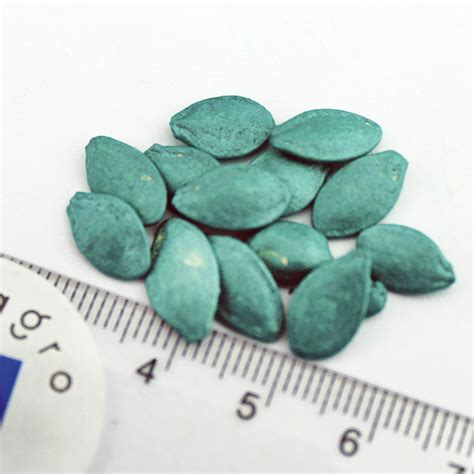 Патиссон САННИ ДЕЛАЙТ F1 (Seminis) - купить семена из Голландии оптом ...