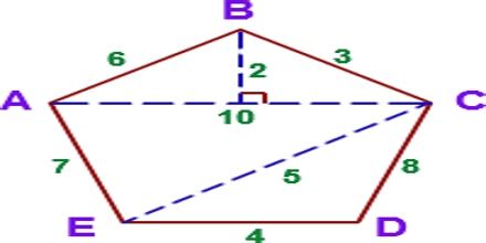 Area of a Polygon - Assignment Point