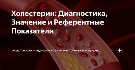 Холестерин: Диагностика, Значение и Референтные Показатели | gkvector ...