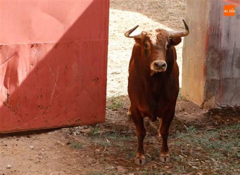 Sorteo Y Apartado De Los Toros Para La Segunda De Abono De La Feria De