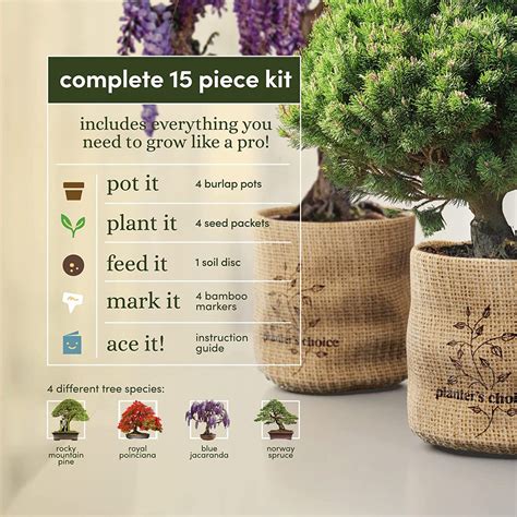 Bonsai Starter Kit Planterschoice