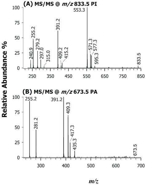 Esi Itms Ms Spectra Of The Precursor Ions At M Z A And