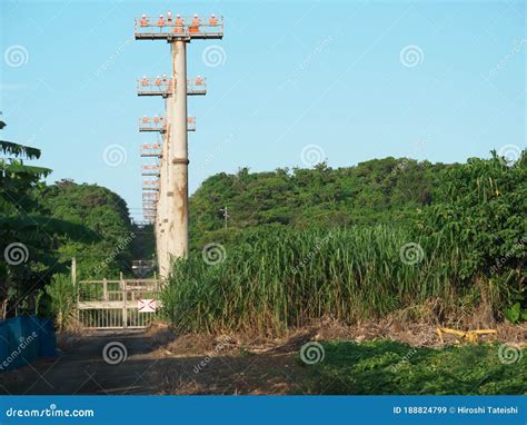 Approach Lighting System Of Miyako Airport Built In Sugar Cane Field At