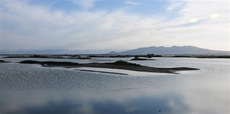 Turismo Mexiquense Naturaleza Laguna De Zumpango Un Sitio Para Redescubrir