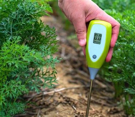 6 Best Soil PH Testers 2024 Buyers Guide Review Garden Junkie