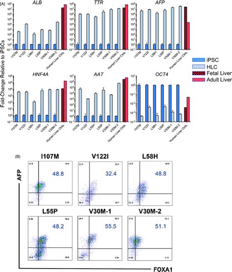 Ipsc Derived Hlcs Upregulate Hallmark Hepatic Markers And Downregulate