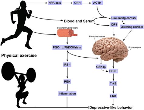 Best Workouts For Depression