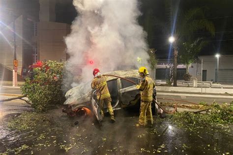 Carro bate em árvore e pega fogo em Coronel Fabriciano