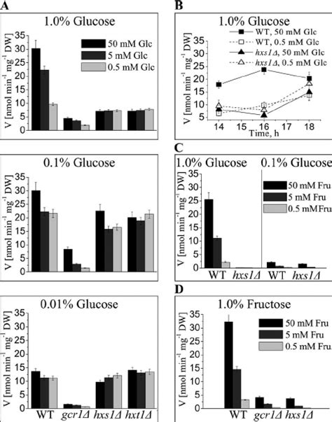 Hxs1 Hxt1 And Gcr1 Mutations Differentially Affect Hexose