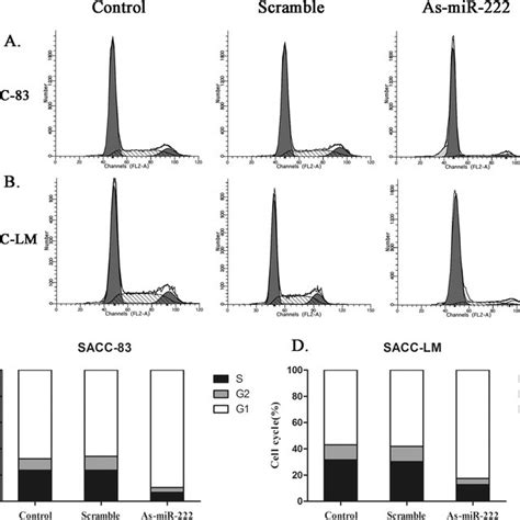 The Changes Of Cell Cycle In A C Sacc And B D Sacc Lm Cells