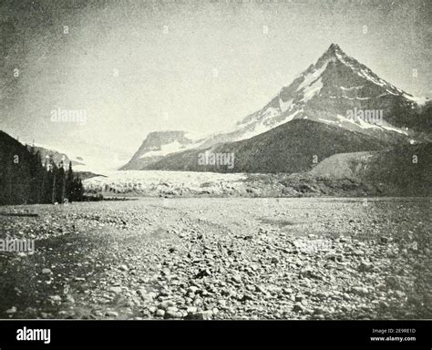 Mount Columbia, Canada Stock Photo - Alamy