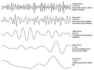 Making music together syncs brains | the musician's brain