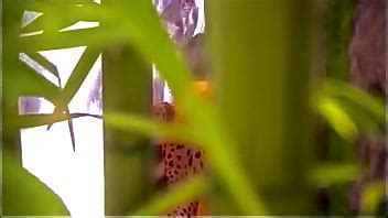 Eating Pussy XNXX