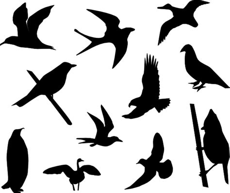 Bird Flock Silhouette Clipart Best