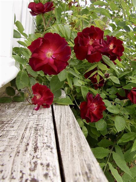 Newzjunky - WATERTOWN, NY -- Watertown city firefighters... | Facebook