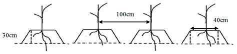 Agronomy Free Full Text Effects Of Ridge Tillage And Straw Mulching