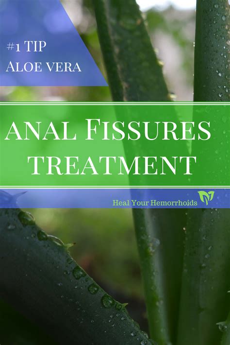 Anal Fissures Heal Your Hemorrhoids