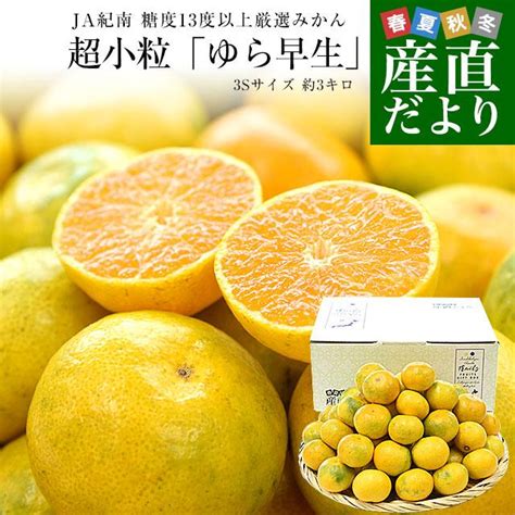 和歌山県 Ja紀南 糖度13度以上厳選みかん 超小粒「ゆら早生」3sサイズ 約3キロ50玉前後 送料無料 みかん 蜜柑 柑橘 小玉みかん