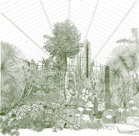 Greenhouse Cacti Large By Clare Halifax Buy Art Online Rise Art