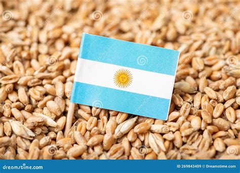 Flag Of Argentina On Wheat Grain Stock Image Image Of Import Farming