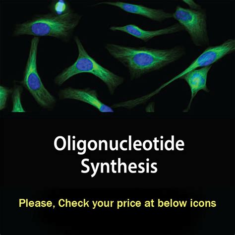 Oligonucleotide Synthesis