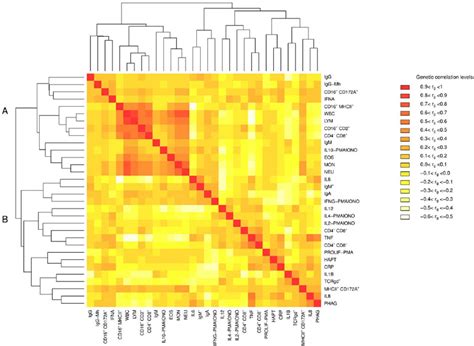 Heatmap Of The Genetic Correlations Between Its The Correspondence