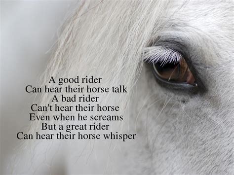 Horse Eye Quotes. QuotesGram