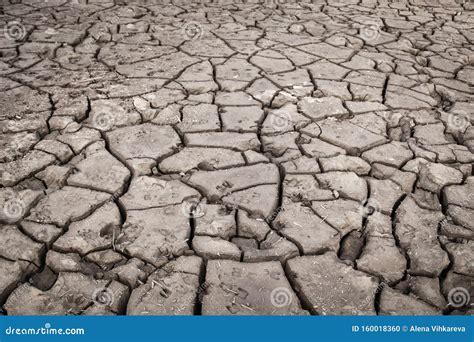 Textura De La Tierra Seca Craqueada Desierto Concepto Del Tiempo De