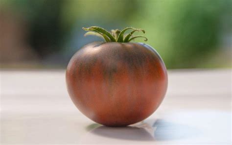 Cherokee Purple tomato Unlock the secrets of growing this he