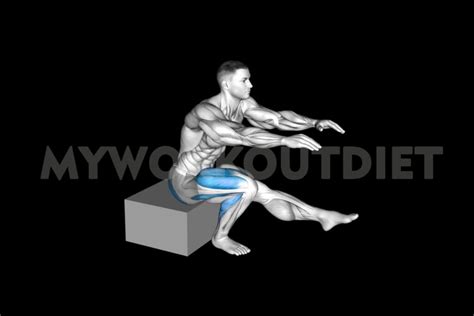 Bulgarian Split Squat Alternatives How To Variations And