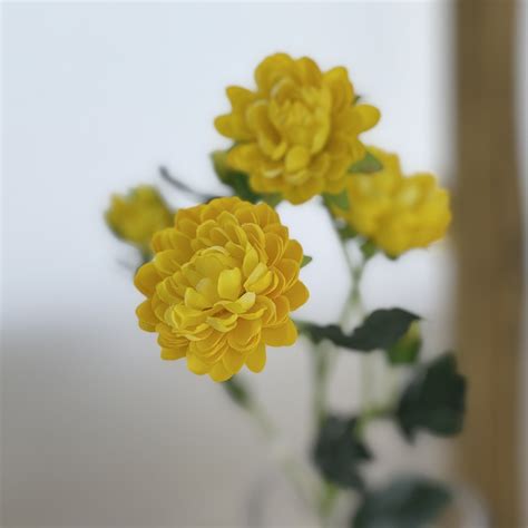 Chrysanthemum Spray Yellow - Village Green