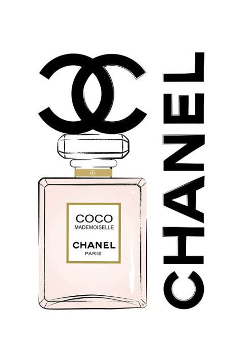 Coco Chanel Perfume Canvas Wall Art By Martina Pavlova Icanvas